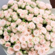 Букет из 35 кремовых кустовых роз Рослин. Букет 392 Kimbirly Flowers