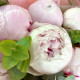 11 ароматных розовых пионов Сара Бернар с эвкалиптом. Букет 394 Kimbirly Flowers