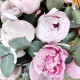 Ароматная корзина с пионами Сара Бернар и эвкалиптом. Букет 389 Kimbirly Flowers
