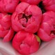 9 коралловых пионов Корал шарм. Букет 229 Kimbirly Flowers