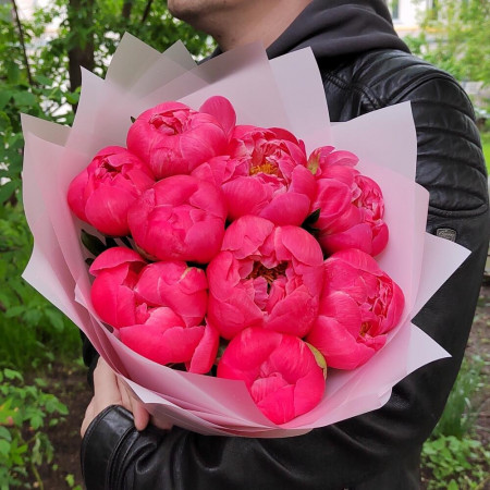 9 коралловых пионов Корал шарм. Букет 229 Kimbirly Flowers