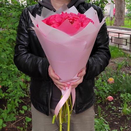 9 коралловых пионов Корал шарм. Букет 229 Kimbirly Flowers