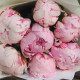 7 ароматных розовых пионов Сара Бернар. Букет 91 Kimbirly Flowers