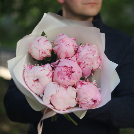 7 ароматных розовых пионов Сара Бернар. Букет 91 Kimbirly Flowers
