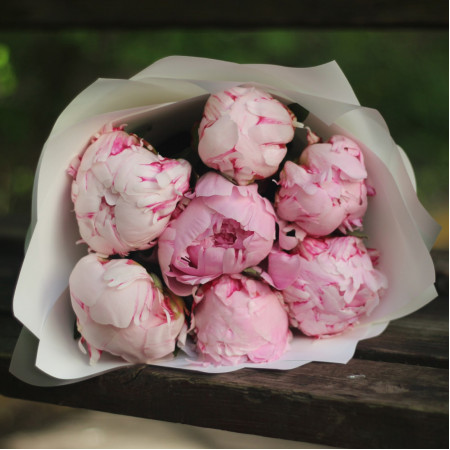 7 ароматных розовых пионов Сара Бернар. Букет 91 Kimbirly Flowers