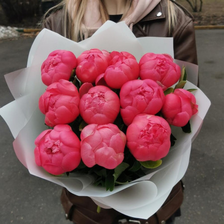 11 коралловых пионов Корал шарм. Букет 216 Kimbirly Flowers
