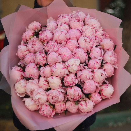 51 ароматный розовый пион Сара Бернар. Букет 92 Kimbirly Flowers