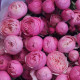 51 кустовая пионовидная роза Сильва пинк. Букет 212 Kimbirly Flowers