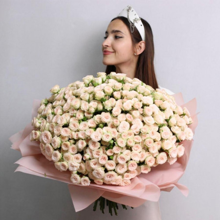 Большой букет из 101 кремовой кустовой розы Рослин. Букет 270 Kimbirly Flowers