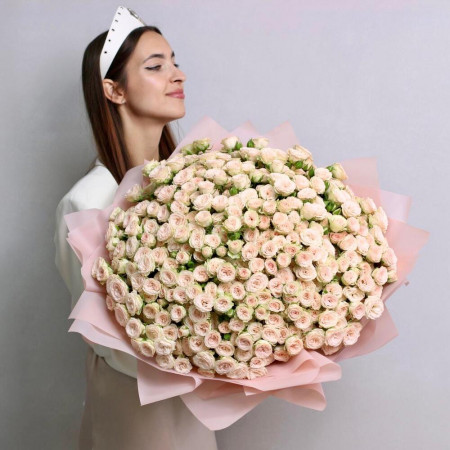 Большой букет из 101 кремовой кустовой розы Рослин. Букет 270 Kimbirly Flowers