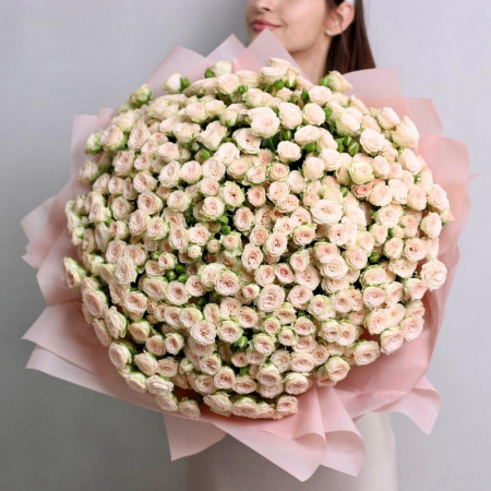 Большой букет из 101 кремовой кустовой розы Рослин. Букет 270 Kimbirly Flowers