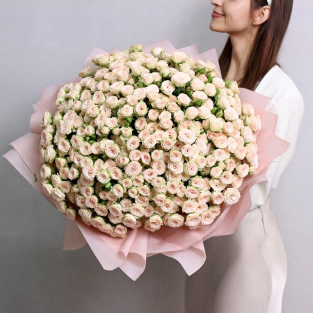 Большой букет из 101 кремовой кустовой розы Рослин. Букет 270 Kimbirly Flowers