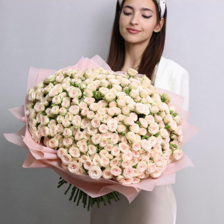 Большой букет из 101 кремовой кустовой розы Рослин. Букет 270 Kimbirly Flowers