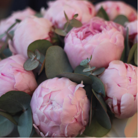 11 розовых пионов Сара Бернар с эвкалиптом в шляпной коробке. Букет 74 Kimbirly Flowers