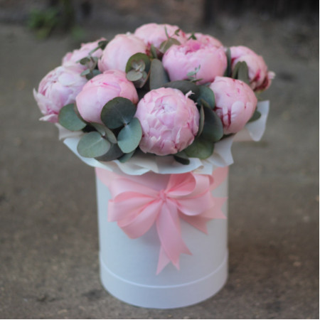 11 розовых пионов Сара Бернар с эвкалиптом в шляпной коробке. Букет 74 Kimbirly Flowers