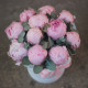 11 розовых пионов Сара Бернар с эвкалиптом в шляпной коробке. Букет 74 Kimbirly Flowers